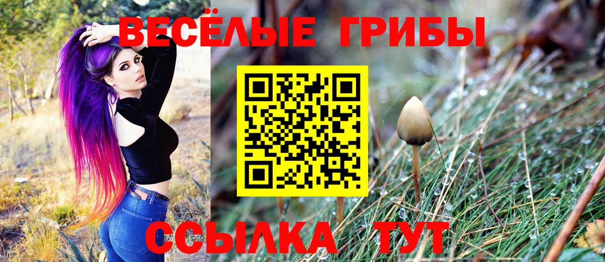 Псилоцибиновые грибы ЛСД Ивантеевка
